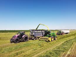 Barley Silage