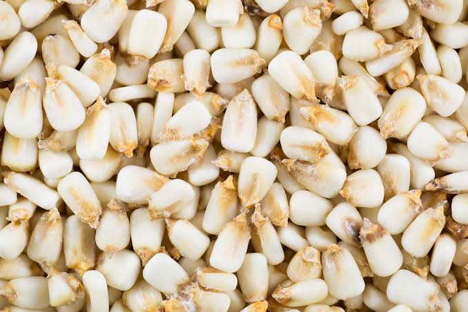 Hominy Corn