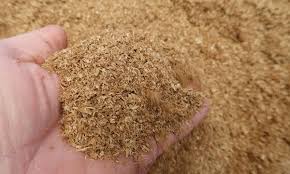 dried brewers grain