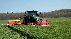 triticale silage